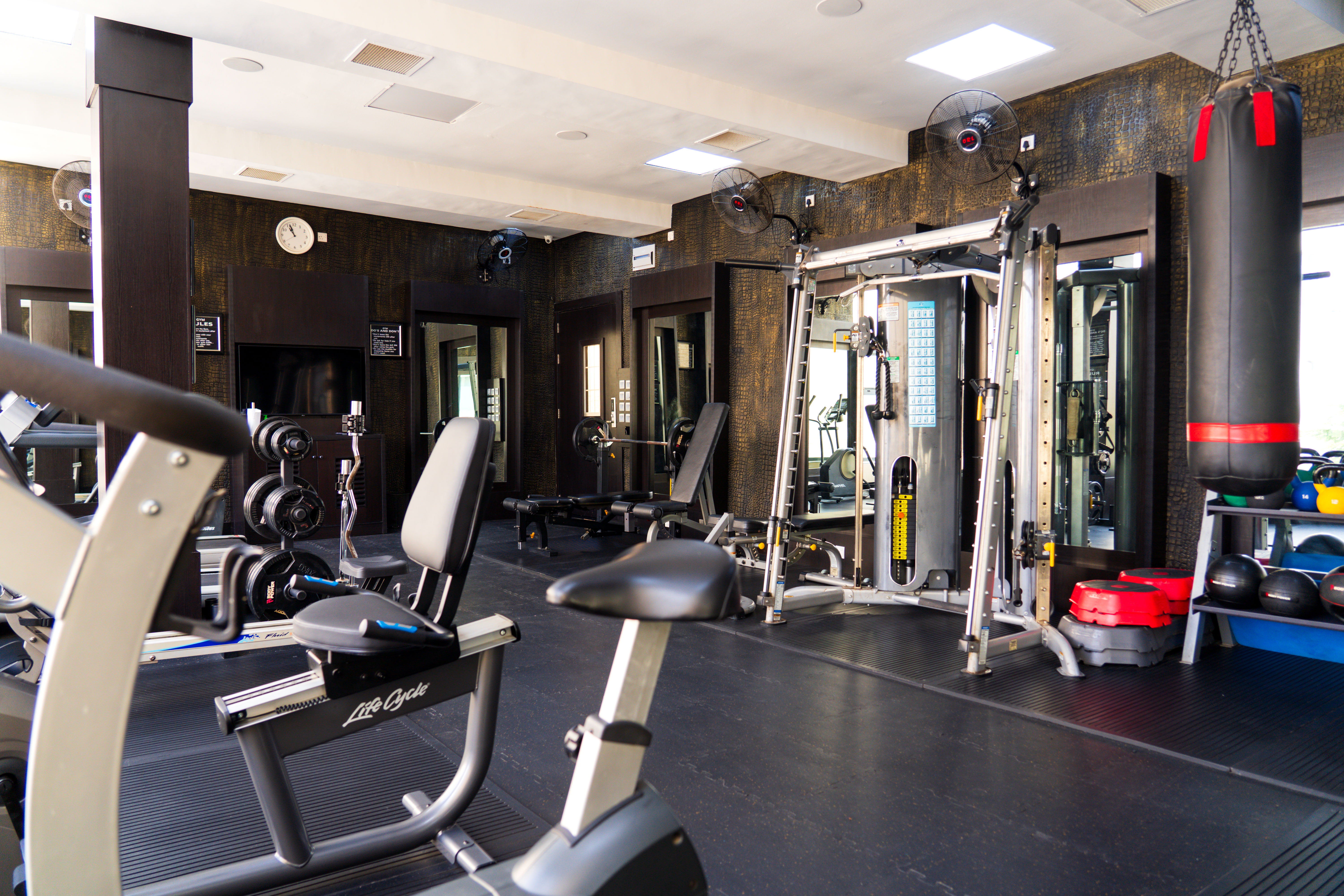 Gym Access